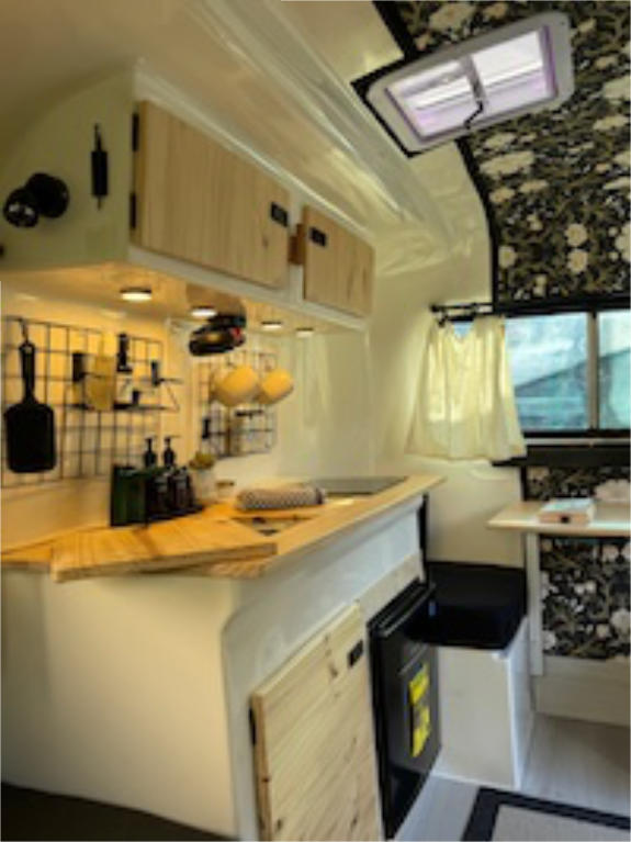 1979 Burro 13 FT Travel Trailer