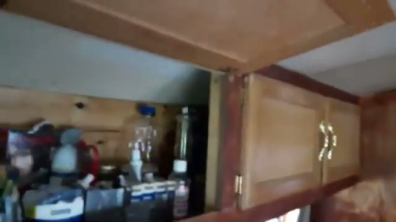 2000 Blue Bird Skoolie Conversion For Sale
