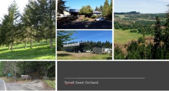 Tyrrell Seed Orchard

