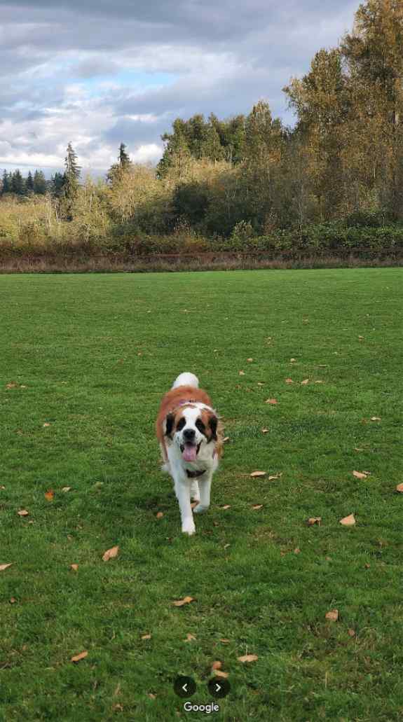 Arlington, Washington RV Lots For Rent Arlington, Washington RV Lots For Rent