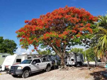 Big Pine Key, Florida RV Lot For Rent