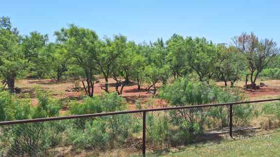 Buffalo Gap, Texas RV Lot For Rent