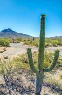 Gilbert Ray Campground