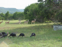 McCord Ranch McCord Ranch