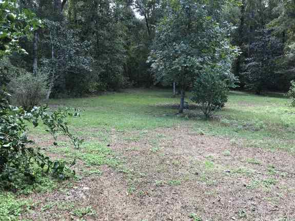 Tallahassee, Florida RV Lot For Rent Tallahassee, Florida RV Lot For Rent