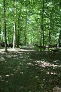 Treehaven Campground